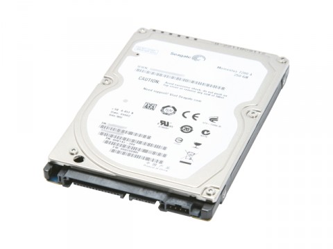 Жесткий диск 250 Gb Seagate Sata II/st9250410as